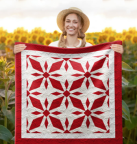 Winged Diamonds Wall Quilt | 40x40 Inches # W - 311