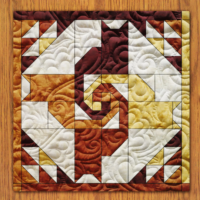 Spiral Cats Quilt Block Pattern | 16", 18", 20", 22", and 24" Size Versions Included # 456-B-2