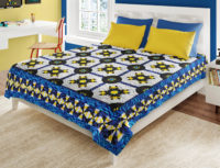 Barn Spider Pattern Patchwork